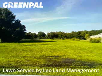 Yard Cutting nearby Lakeland, FL, 