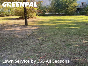 Yard Management in Augusta, 30904, Yard Grooming by 365 All Seasons , work completed in Nov , 2025