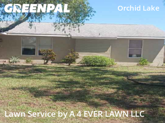 Yard Cutting nearby New Port Richey, FL, 