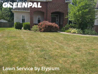 Grass Cut nearby West Lafayette, IN, 