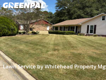 Grass Cut nearby Columbus, GA, 