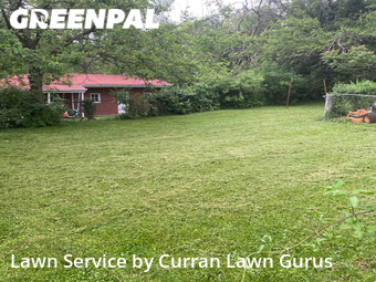 Grass Cutting nearby St. Louis, IL, 