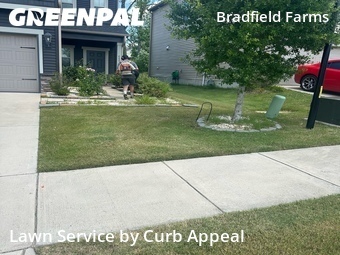 Lawn Cutting nearby Charlotte, NC, 