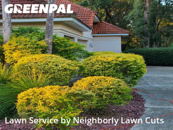 Lawn Cut nearby Pace, GA, 