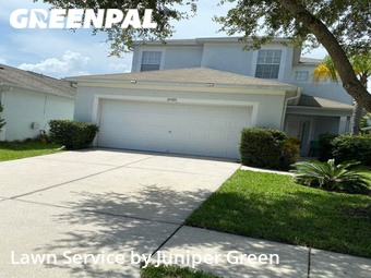 Lawn Cut nearby Land O' Lakes, FL, 