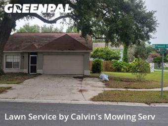 Yard Cutting nearby Valrico, FL, 