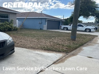 Lawn Cutting nearby Palmetto, FL, 