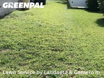 Yard Mowing nearby Cooper City, FL, 