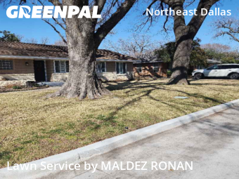 Lawn Mowin Dallas,75231,Lawn Mowing Service by MALDEZ RONAN, work completed in Feb , 2026