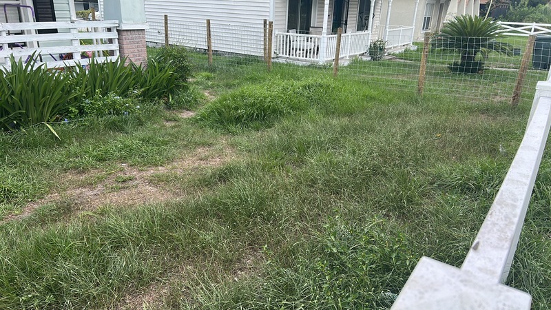 Work Image 5