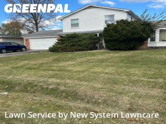 Grass Care in Farmington Hills, 48336, Grass Care by New System Lawncare , work completed in Nov , 2025