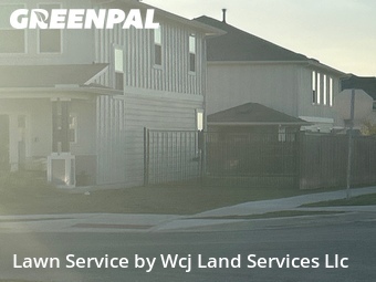 Grass Cut nearby Austin, TX, 