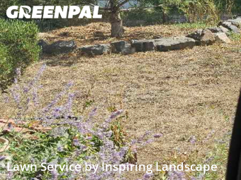 Lawn Mowingin Centennial,80122,Yard Mowing by Inspiring Landscape, work completed in Feb , 2026