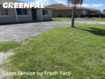 Lawn Cutting nearby Cape Coral, FL, 
