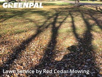 Grass Cutting nearby Lansing, MI, 