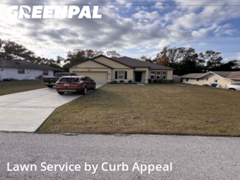 Lawn mowed in Spring Hill, 34606