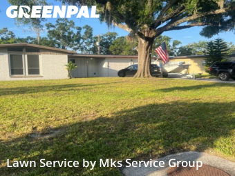 Grass Cut nearby Tampa, FL, 