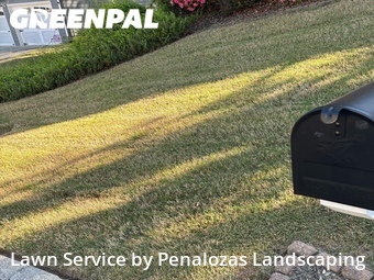 Lawn Mowing nearby Suwanee, GA, 