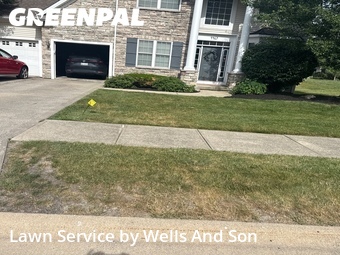 Lawn Cut nearby Warrensville Heights, OH, 