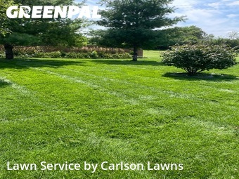 Grass Cut nearby Omaha, NE, 