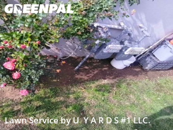 Lawn Mowing Service nearby Riverbank, CA, 