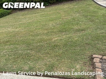 Lawn Mow nearby Suwanee, GA, 
