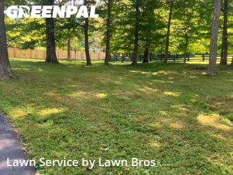 Yard Cutting nearby Prospect, KY, 