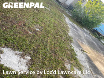 Grass Cut nearby New Orleans, LA, 