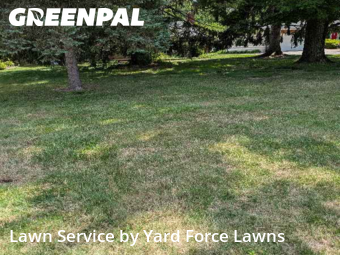 Grass Cutting nearby North Royalton, OH, 