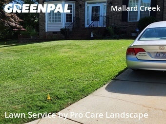 Lawn Mow nearby Charlotte, NC, 