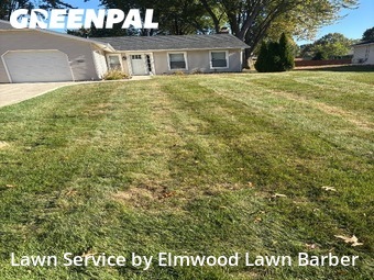 Lawn Mow nearby North Ridgeville, OH, 