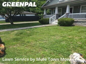 Lawn Care Servicein Franklin,37064,Lawn Mow by Mule Town Mowing , work completed in Jun , 2026