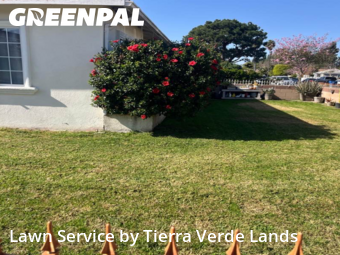 Work completed by local-lawn-maintenance-contractors-in-Downey-CA