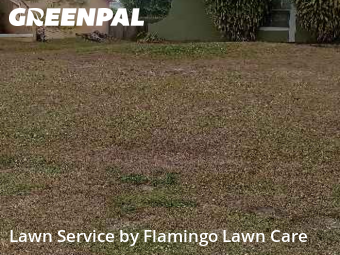 Grass Services in Fort Myers, 33967, Lawn Care by Flamingo Lawn Care, work completed in Dec , 2025