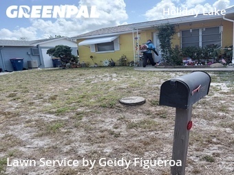 Lawn Care Service nearby Holiday, FL, 