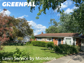 Lawn Maintenance nearby Ann Arbor, OH, 