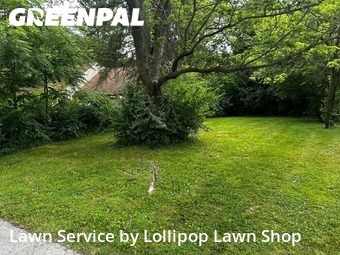 Lawn Cutting in Lima, 45805, Lawn Maintenance by Lollipop Lawn Shop, work completed in Nov , 2025