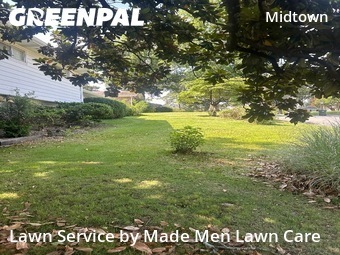 Grass Cut nearby Little Rock, AR, 