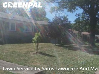 Grass Cut nearby St. Louis, IL, 