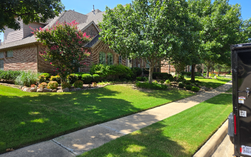 Work Image 1