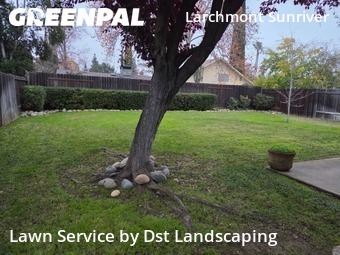 residential-lawn-cutting-businesses-in-Citrus Heights-CA