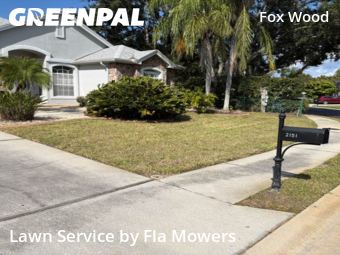 Lawn Service nearby Trinity, FL, 