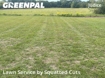 Lawn Service nearby Duson, LA, 