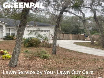 Lawn Maintenance nearby Temple Terrace, FL, 