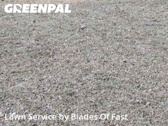 Yard Mowing nearby Atlanta, GA, 