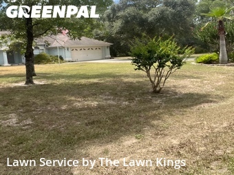 Lawn mowed in Citrus Springs, 34433