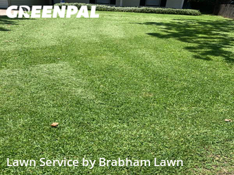 Lawn Maintenance nearby Baton Rouge, LA, 