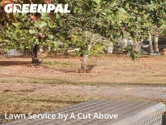 Lawn Mowing nearby Smyrna, TN, 