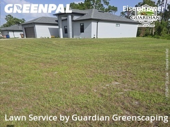 Grass Cut nearby Lehigh Acres, FL, 