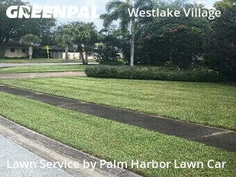 Lawn Maintenance nearby Palm Harbor, FL, 